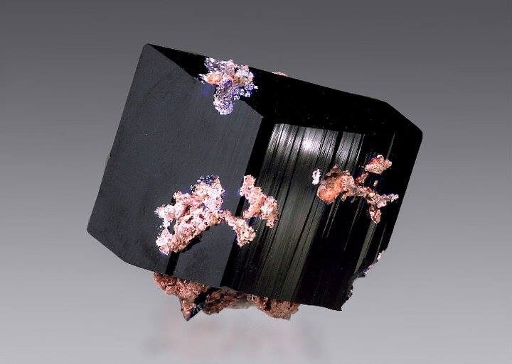 Geology Page tweet media