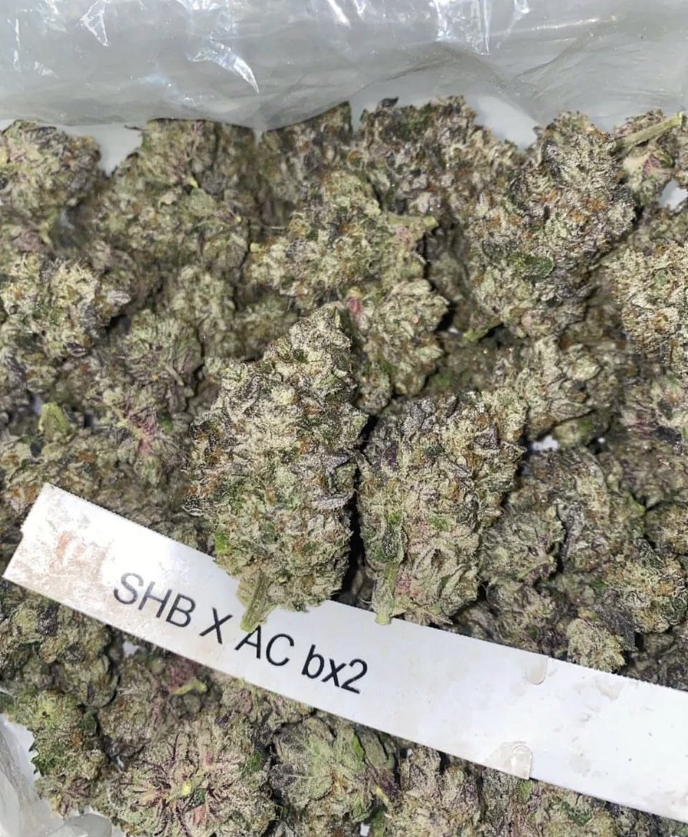 EmeliaHarry's tweet photo. #WeedFam #weedlife #420Friendly #stonerchicks #Weed #Smokeweed #Mmemberville https://t.co/qmb9AV4MUX