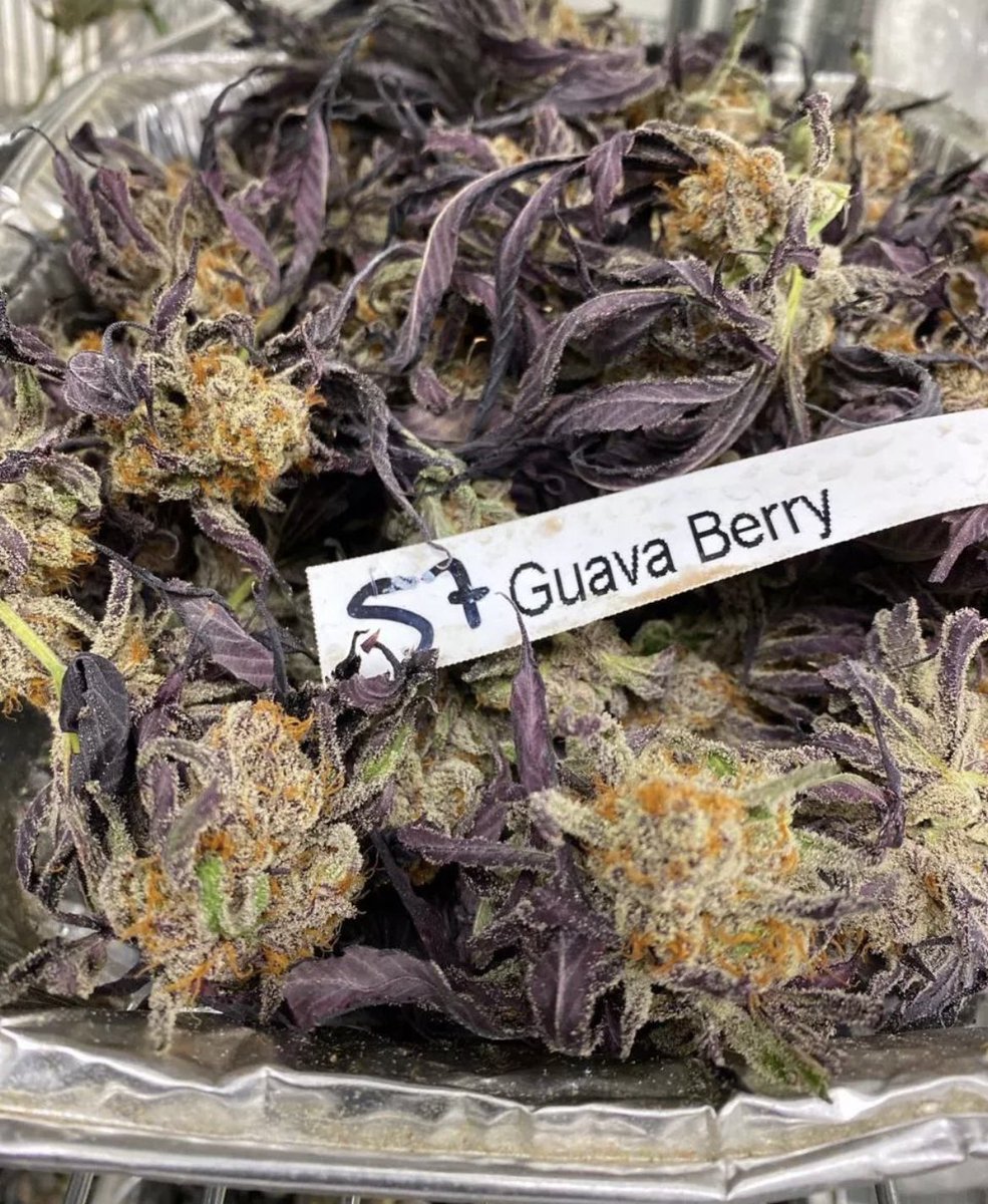EmeliaHarry's tweet photo. #WeedFam #weedlife #420Friendly #stonerchicks #Weed #Smokeweed #Mmemberville https://t.co/qmb9AV4MUX