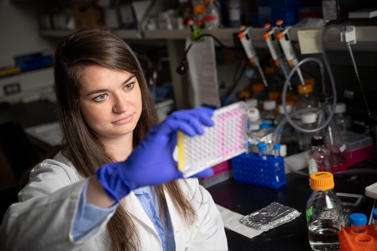 stjudegraduate's tweet photo. Congrats @TinaAdele13 on presenting her research at the 4D Cellular Physiology Symposium. Working with @lab_ogden, Christina translates curiosity into groundbreaking research. Find out how you can follow in her footsteps. https://t.co/zYmLICYPip https://t.co/ORx92lbBLr