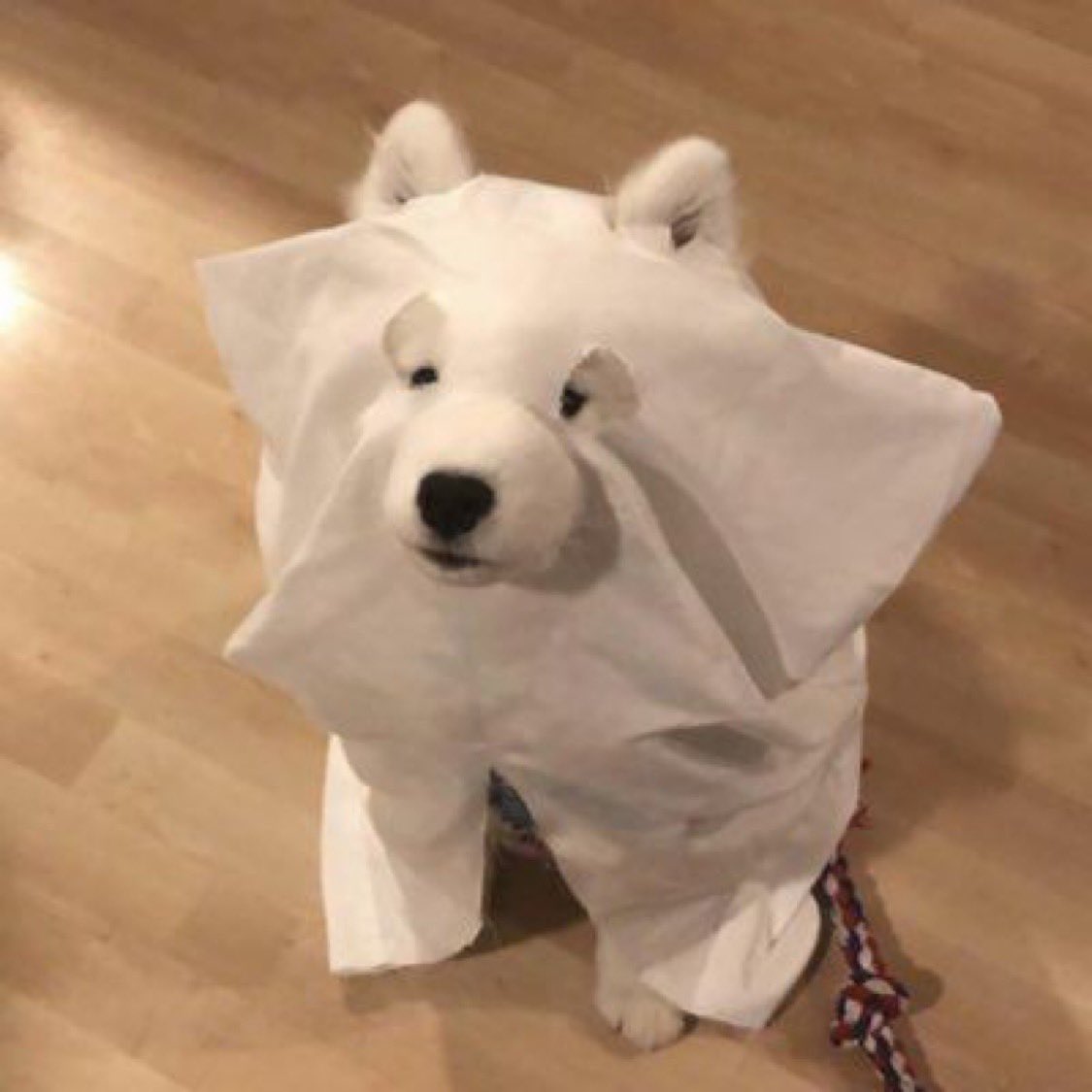 PAVGOD's tweet photo. spooky https://t.co/71lj5fKKdv