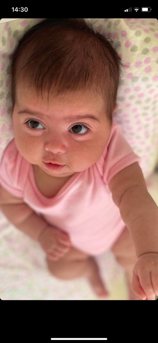 anarcoment's tweet photo. Aí gente morri de amor aqui!! 🥺🫶🏼🥰🤏🏼 https://t.co/yHzw96sXDs