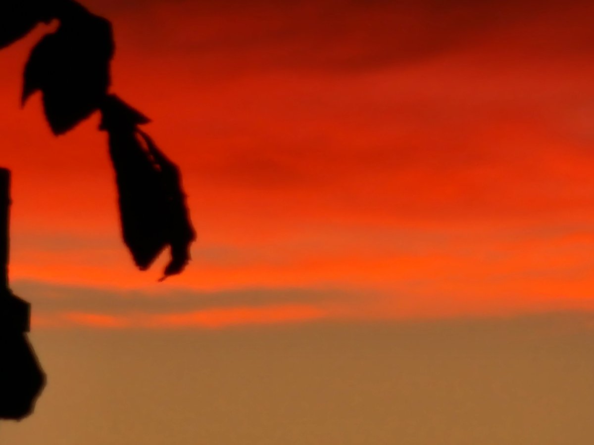Windridgeshell's tweet image. What a sky tonight.  😍 xx love where I live melted today.  18 degrees and warm. Amazing 👏#southsea