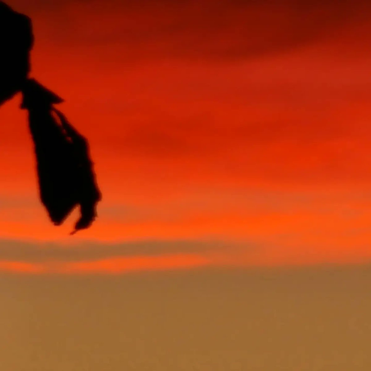 Windridgeshell's tweet image. What a sky tonight.  😍 xx love where I live melted today.  18 degrees and warm. Amazing 👏#southsea