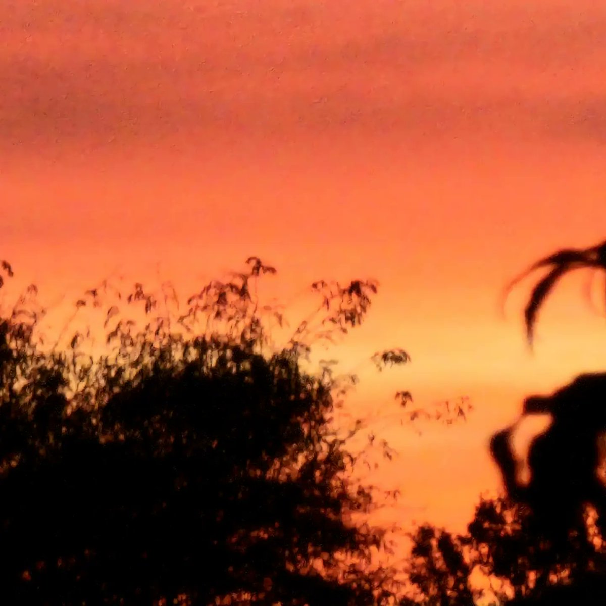 Windridgeshell's tweet image. What a sky tonight.  😍 xx love where I live melted today.  18 degrees and warm. Amazing 👏#southsea