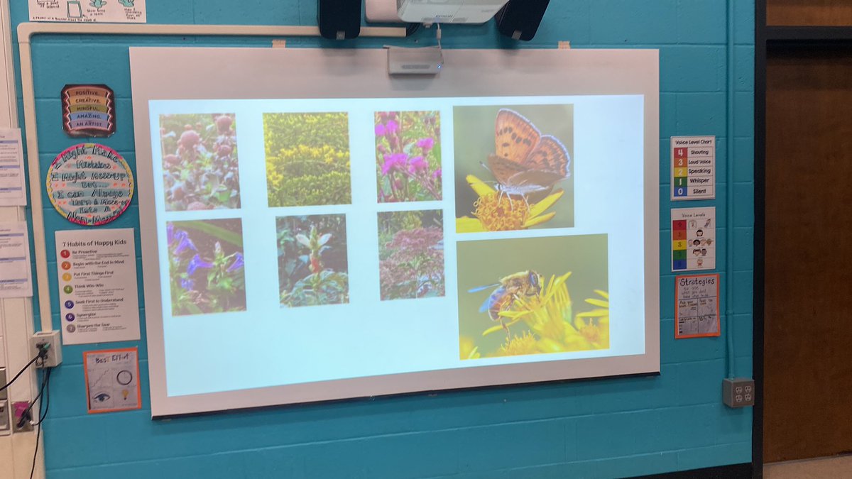 CorduckJenny's tweet photo. Happening now…K artists sketching scenes from our pollinator garden. Art and science interacting! @lexingtonmaart @LexK5science @lexingtonsuper @BowmanLexPTO https://t.co/halkWzF2pb
