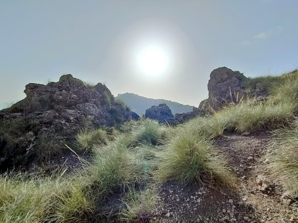 jfraladevesa's tweet photo. Esto se ha ido de las manos.
Esta tarde el Cejo de los enamorados de #Lorca con un contraste bestial de las cuatro estaciones del año.
Primavera, invierno, otoño y verano.
Brutal. https://t.co/pDir2W9owM