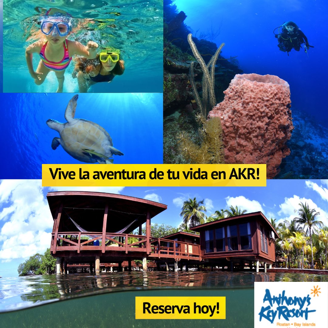 Buceadores_'s tweet image. ¿Anhelas un verano sin fin?
Eso es lo que Anthony’s Key, 'El Resort que la naturaleza diseñó, te ofrece. Si lo que buscas es bucear en la segunda barrera de coral más extensa y mejor conservada del planeta. este es tu lugar.
¡HAS LLEGADO!
Manda mail a reservations@anthonyskey.com