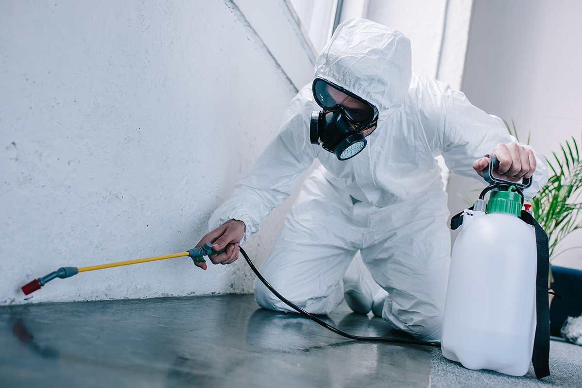 GMPTRENDS's tweet photo. Written procedures should assign responsibility and describe in detail the cleaning schedules, methods, equipment, and materials to be used in cleaning the buildings and facilities. 
Read more here: https://t.co/nK9KvYyHaW https://t.co/6ME07cKi1g