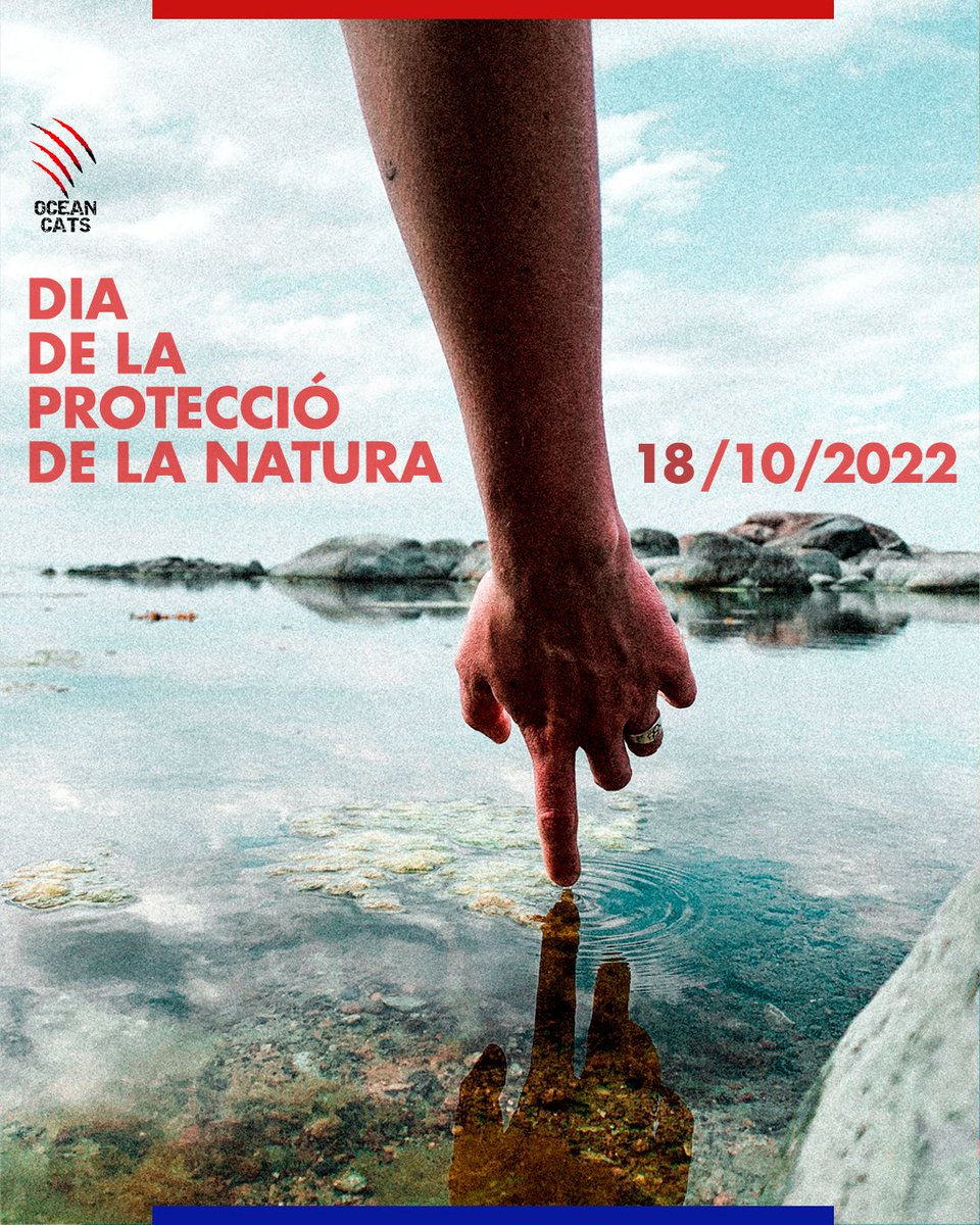 cats_ocean's tweet photo. "Només podem dominar la natura si l'obeïm" 
"Sólo podemos dominar la naturaleza si la obedecemos"
"We cannot command Nature except by obeying her"

Francis Bacon https://t.co/FyAlAkbRje