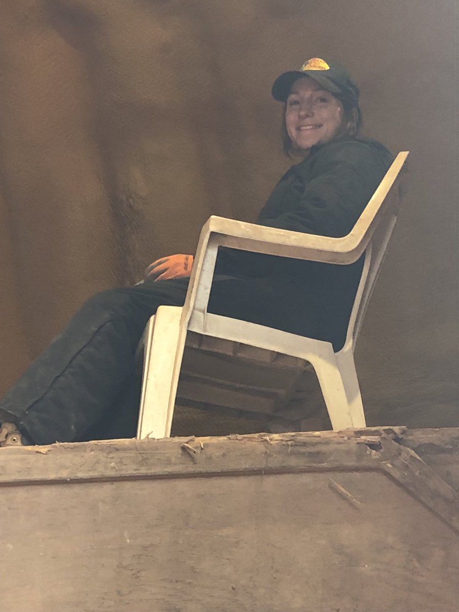 RandyFischer01's tweet photo. The queen of the bin piler sitting on her throne #fullwarehouse #spud crop2022 https://t.co/Q5i1uhPrKH
