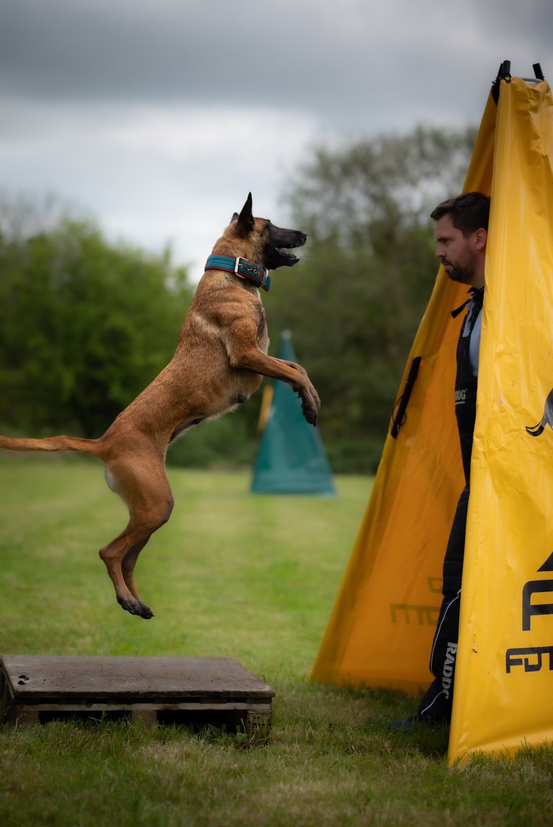 CaninesOfCork's tweet photo. @NikonUSA I think most people just assume I shoot events and weddings for some reason while I’m a dog photographer 🤷‍♂️ https://t.co/ihRU24KOKn