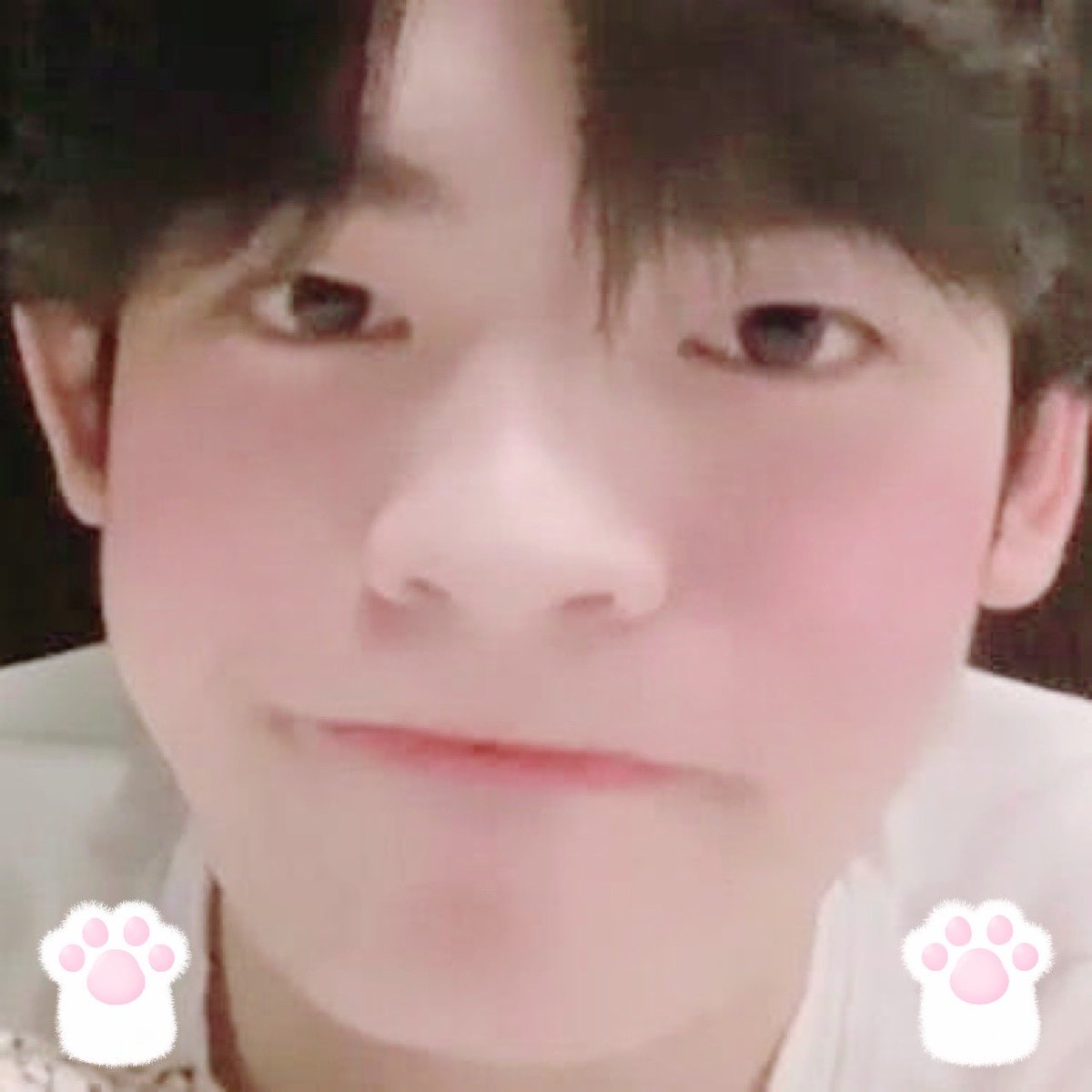 forminelazboy's tweet photo. ไม่ได้หรอก! จาเปนแมวเหมือนกันม่ายด้ายหรอก!😾

{@porsuppakarn🥺💖}

#PorSuppakarn #Por_DVI
#องครักษ์แห่งดินแดนน้ำแข็ง https://t.co/jkY2Vq0LvZ