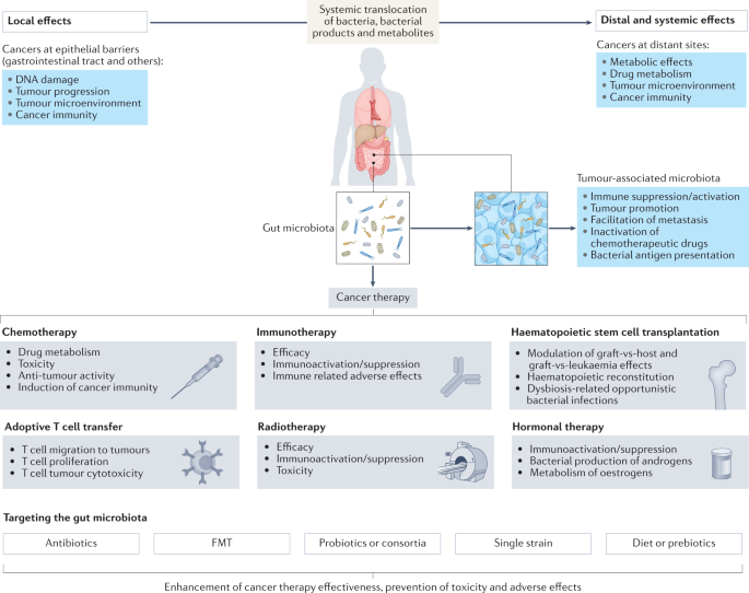 NEW content online! Targeting the gut microbiota for cancer therapy dlvr.it/SbF4R2