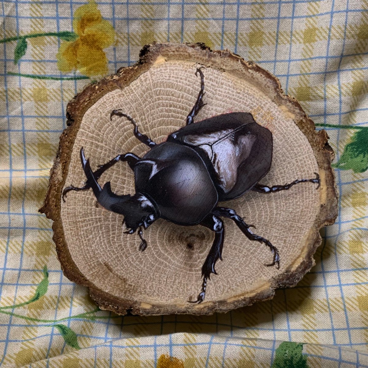 junya_uzawa's tweet photo. クヌギの木にカブトムシを描きました！
ほんとだよ https://t.co/zfA4RuTP1o