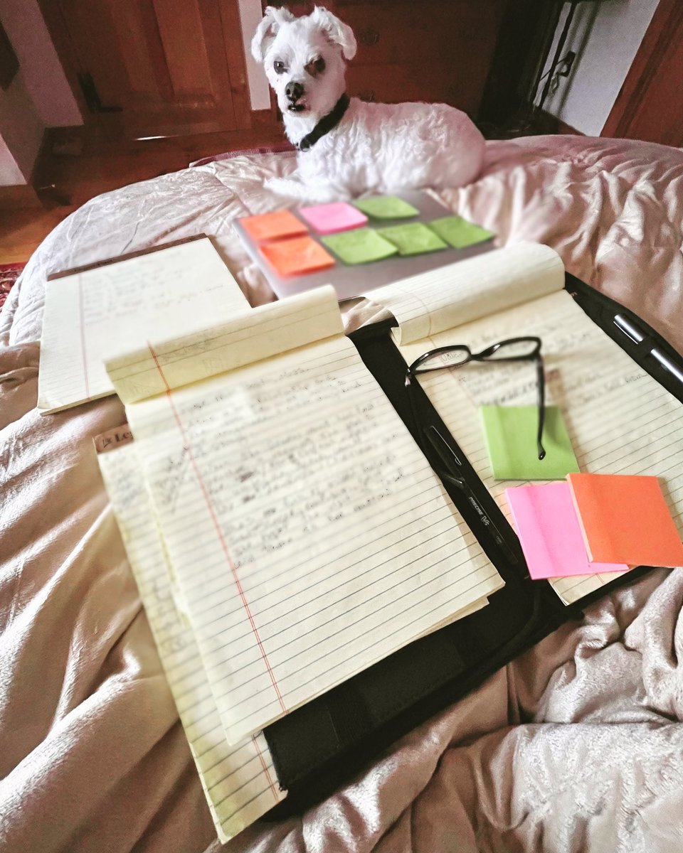 LongWritingRoad's tweet photo. #NaNoPrep is in high gear and book three is getting more life. 

#writing #writingcommunity #nanowrimo https://t.co/tfnjHikg1M