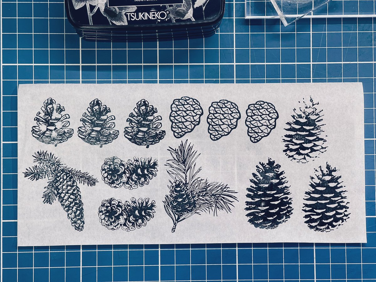 danes96's tweet photo. Oh these pine cones make me giddy! I love the level of detail. I think these will work as prints for this year’s Christmas wrapper. ☺️ #tsukineko #versafineclair #clearstamps https://t.co/S5d1cVBiAQ