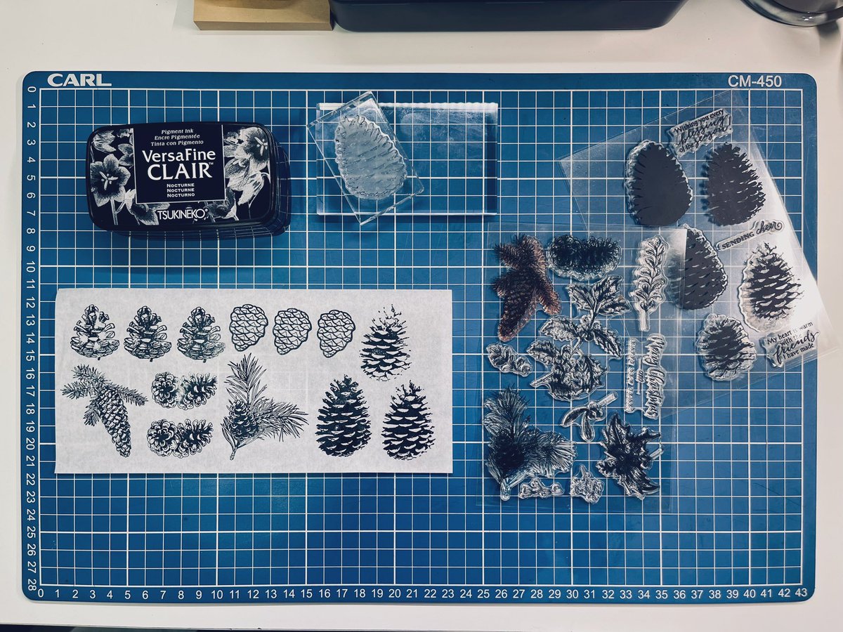 danes96's tweet photo. Oh these pine cones make me giddy! I love the level of detail. I think these will work as prints for this year’s Christmas wrapper. ☺️ #tsukineko #versafineclair #clearstamps https://t.co/S5d1cVBiAQ