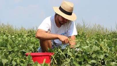 En el #DNP abrimos concurso de mérito para contratar la evaluación del Programa Nacional de Sustitución de Cultivos Ilícitos. 

Más información 👉🏽 bit.ly/3TdoNzG