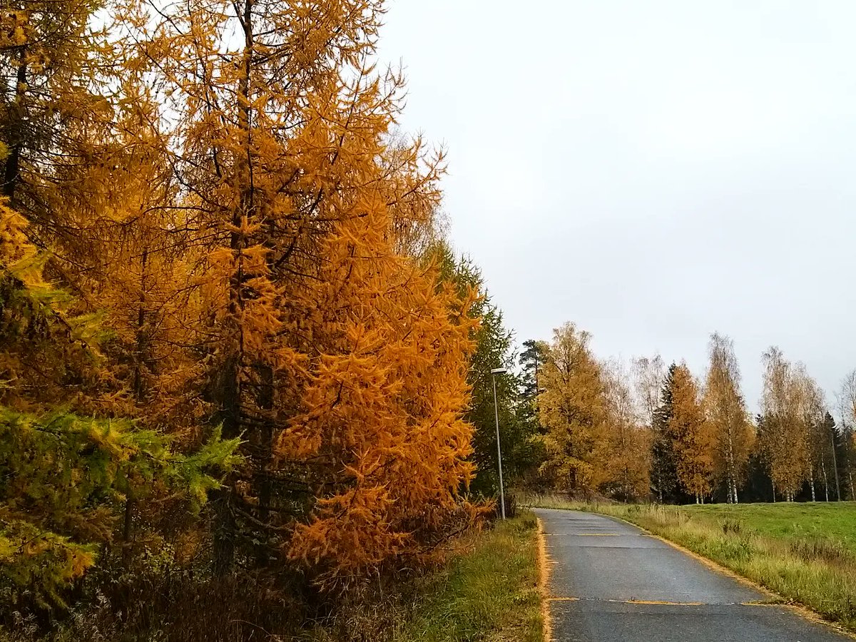 Jenai_lucas's tweet photo. The #Vanajanlinna #MorsiusSuite treats me well for 2nights stay.. .🏰
#LastWeekend #MiniVacay #WeekendOff #ChefOff #FallColors https://t.co/kcQqm3yHcl