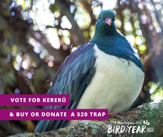 GoEcoWaikato's tweet photo. 🧵 If you're sick of election campaigns based on personality, misinformation, bad selfies and promises that can't be kept...
VOTE Kererū for Forest &amp; Bird's Bird of the Year 2022.  We're campaigning on facts. https://t.co/9D2GW1Npb7