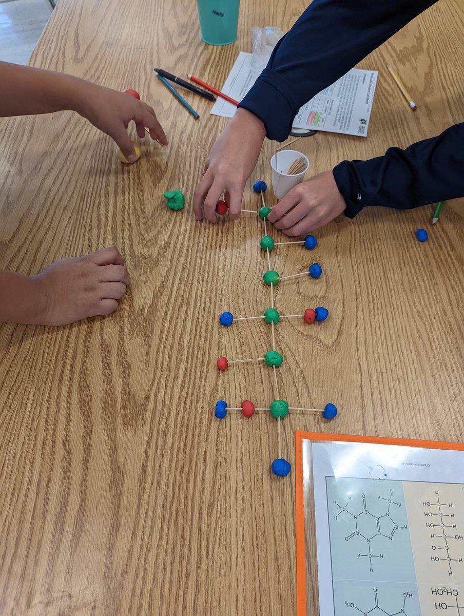 MrsKomal3's tweet photo. Part 2 of the modeling compounds labs #7thgradescience #komalscience #FISScience #keslerscience https://t.co/sVokgovLes