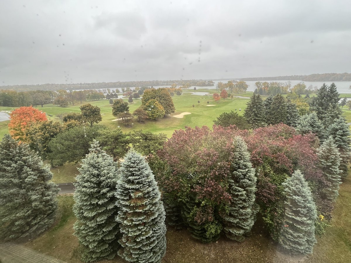 I’ve had some less than picturesque views recently at various hotels… not that I’m in my room much except to sleep…so it kind of warms my heart to have this view right here in my home state of #PureMichigan at the #marriott Ann Arbor, even with the rain!