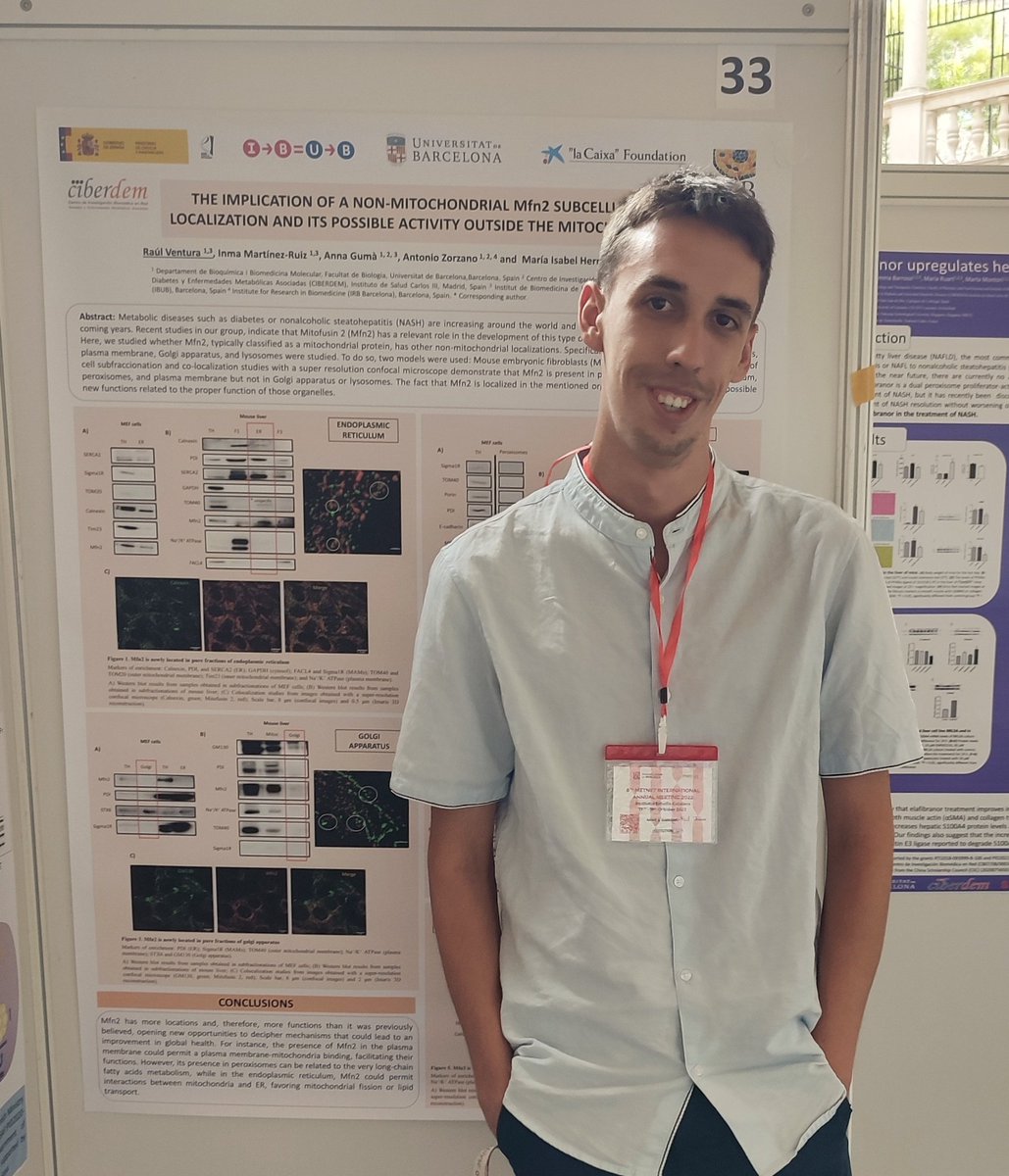 raulventura99's tweet photo. 🔥The implicacions of a non-mitochondrial Mfn2 subcellular locations🔥 #8thMetNet https://t.co/P3iDnASYED