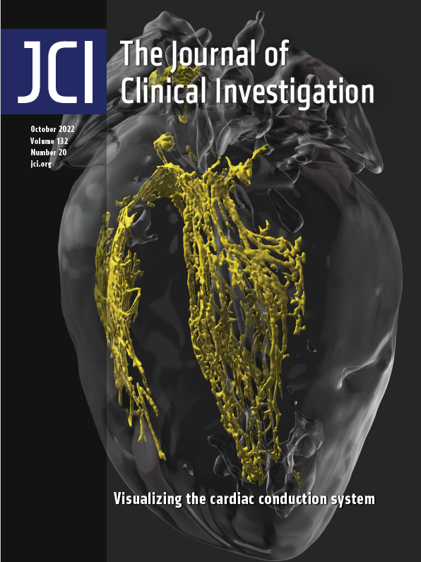 Sean M Wu, MD PhD (@seanm_wu) on Twitter photo Wow! Amazing way 2 start the week. Our recently accepted paper by <a href="/Will_Goodyer/">William Goodyer, MD/PhD</a> <a href="/fxgaldos/">Francisco Galdos MD, PhD</a> <a href="/laurenduan/">Lauren Duan</a> <a href="/SoahLeePhD/">Soah Lee</a> w .@ChaitanKholsa .<a href="/EbenRosenthal/">Eben L Rosenthal, MD</a> .<a href="/StephanRogalla/">Stephan Rogalla</a>
on In vivo visualization & molecular targeting of the cardiac conduct syst. made the cover jci.org/articles/view/… Wow! Amazing way 2 start the week. Our recently accepted paper by <a href="/Will_Goodyer/">William Goodyer, MD/PhD</a> <a href="/fxgaldos/">Francisco Galdos MD, PhD</a> <a href="/laurenduan/">Lauren Duan</a> <a href="/SoahLeePhD/">Soah Lee</a> w .@ChaitanKholsa .<a href="/EbenRosenthal/">Eben L Rosenthal, MD</a> .<a href="/StephanRogalla/">Stephan Rogalla</a>
on In vivo visualization & molecular targeting of the cardiac conduct syst. made the cover jci.org/articles/view/…