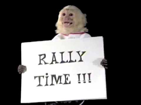 PaulMDiggins's tweet photo. But I hated this monkey more https://t.co/9RaJ6gQI6M