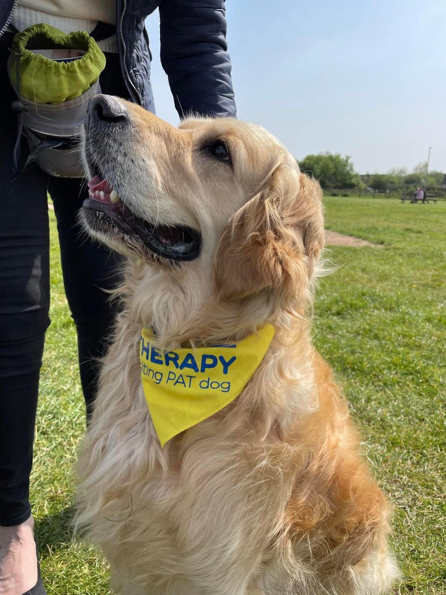 kmcgilchk's tweet photo. Maisey and Eric will be visiting several wards @RoyalDevonNHS tomorrow (Tuesday 18) afternoon. We will be accompanying @erika_favero but please comment below if you’d like us to call in @PetsAsTherapyUK @jan_dwan https://t.co/XIYdaornWF