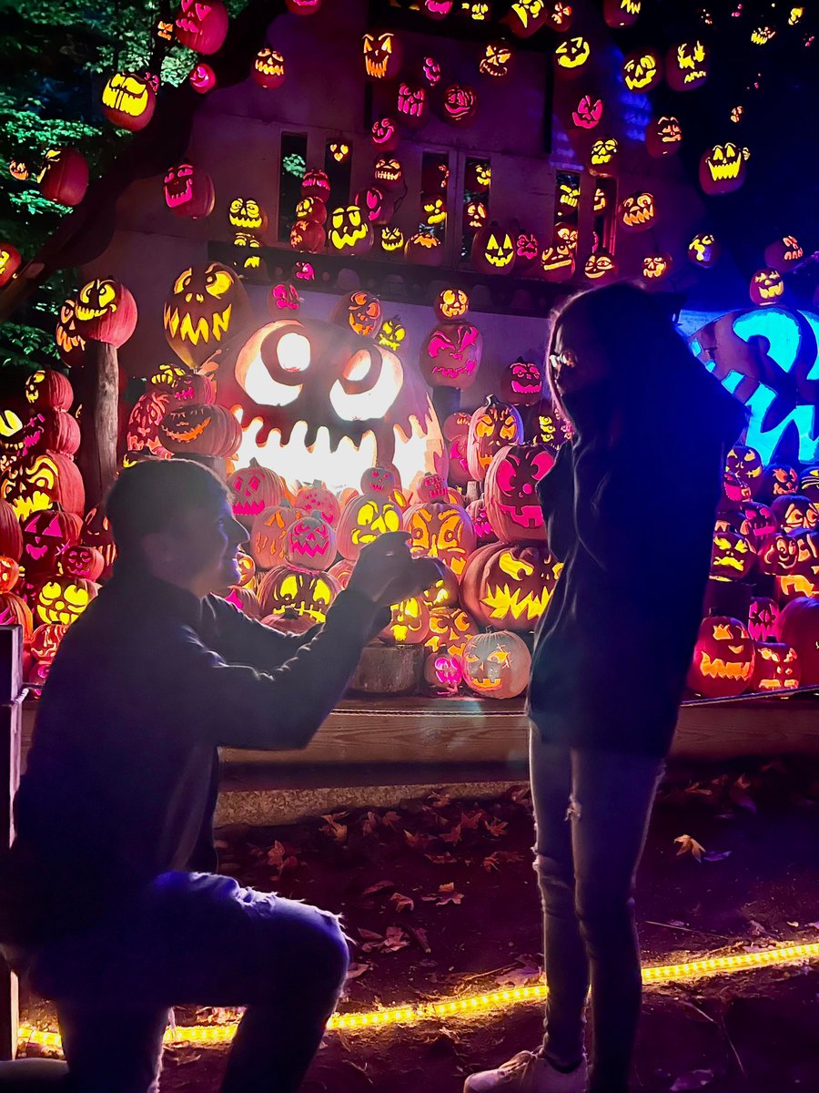 ParksAllianceLu's tweet photo. Oh, My Gourdness! Another proposal occurred at Jack O'Lantern Spectacular, presented by Thorntons last night. Congrats to the happy couple.πΎ
#jackolantern #pumpkins #502pumpkins #pumpkinart #louisville #fallfun #engaged #love #proposal https://t.co/MxVFwbXw0I