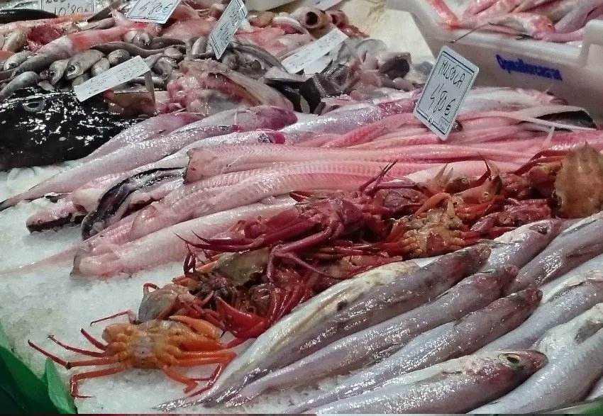 #PublicaSalutIB El aumento de la adherencia a la dieta mediterránea después de una intervención en el estilo de vida mejora el estado oxidativo inflamatorio en pacientes con EHGNA buff.ly/3S3gxBf @nucox_uib <a href="/idisbaib/">IdISBa</a> <a href="/cs_camp_redo/">CS Camp Redó</a> <a href="/Analisis_HUSE/">Servicio de Análisis Clínicos</a> buff.ly/3yL5kyD