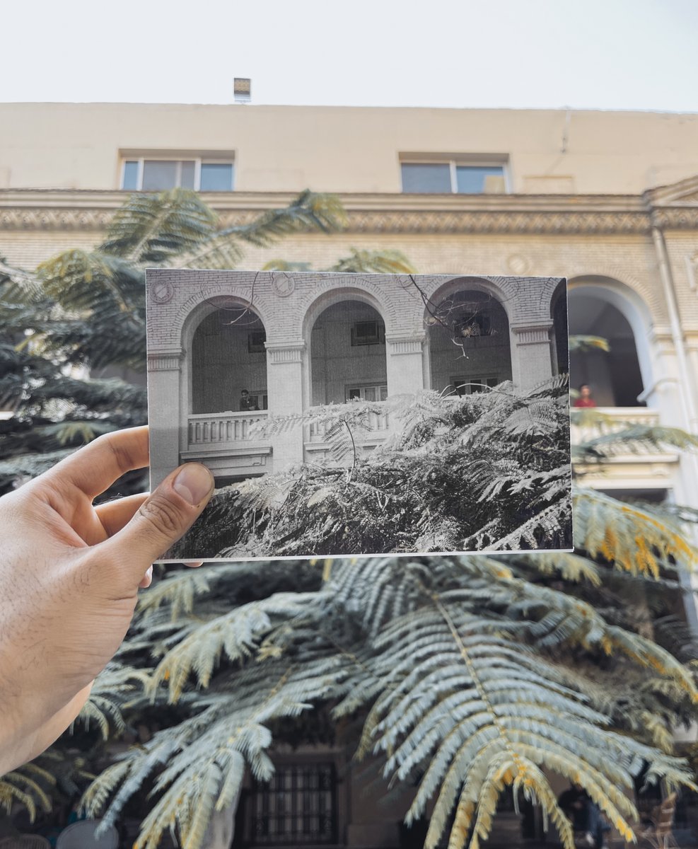 THE GrEEK CAMPUS tweet media