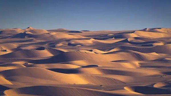 ربعي الخالي طلبتك واحةٍ تروي طموحي
لي سنينٍ وانا هايم بين رمل وبين .. سافي
كل دربٍ قد سلكته وانكف بخِرجي جروحي
خافت الاربع جهات ولا حشى ما كنت اخافي !