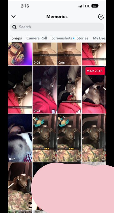 I&rsquo;ve had goats since 2016😂 not so original now lol. https://t.co/L7oxJTBhsc