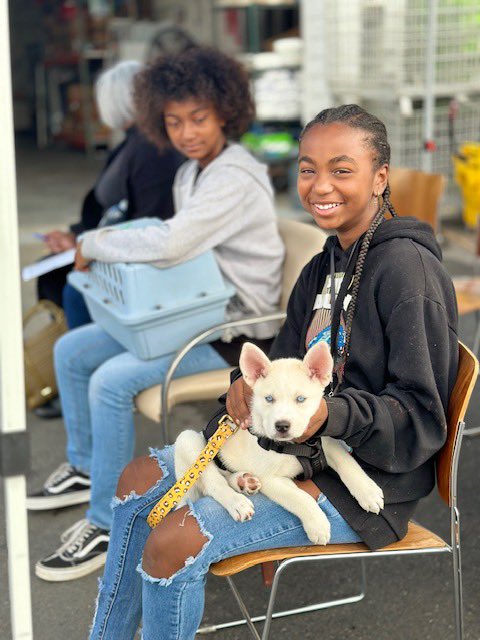 foothill_unity's tweet photo. Our monthly vet clinic with @PasadenaHumane! Our Pasadena Center provides affordable veterinary care for all our registered families every month. We aim to address the needs of the whole family, including our furry friends.
#vetcare #pasadenahumane #communityresource https://t.co/uUWdvXrT3t