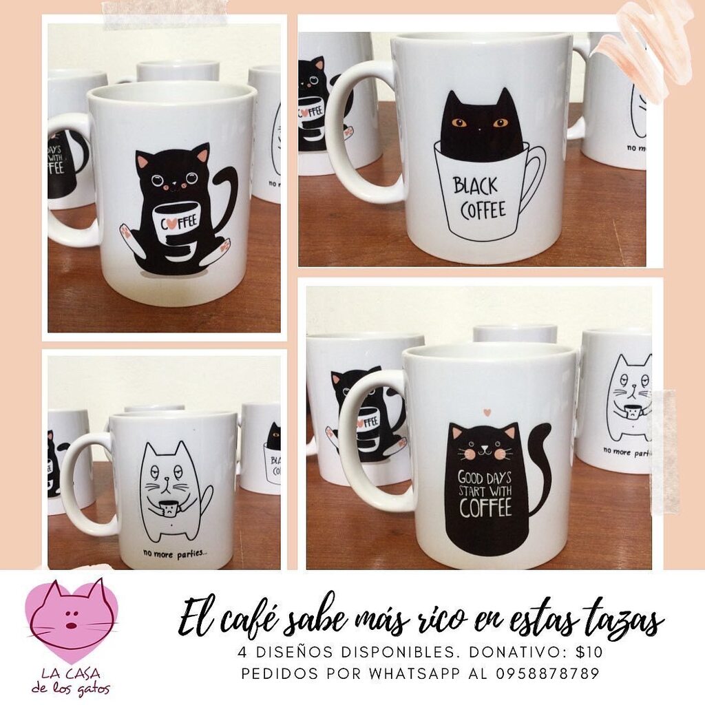 gatosgye's tweet photo. ¡Hora del #catfecito! 😽❤️☕️
Por tu colaboración de $10 solicita una #taza en cualquiera de estos 4 diseños.
📲 Déjanos un mensaje o escríbenos por whatsapp al 0958878789
📍Puntos de entrega (servicio pick up) Sector Kennedy Norte y Sauces 7.
📦 Envíos … https://t.co/Pz355WtvxV https://t.co/UpFnGC1Jix