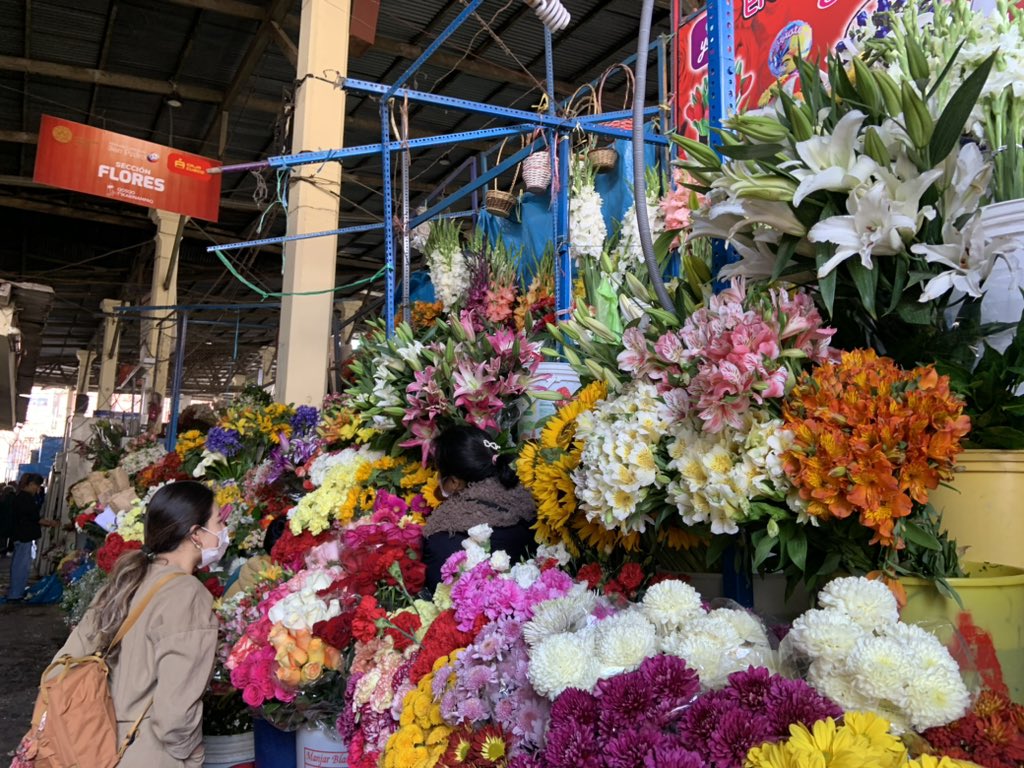 Another Monday, another new #Top4theme!  This week, it’s all about the bloom, #Top4blooms ! Tag your hosts!
@LiveaMemory @4passports @fionamusiclakes @gfreetraveler      First three from #Santiago, where it is late Spring, last one from a flower market in #Bogotá #travel #nomad