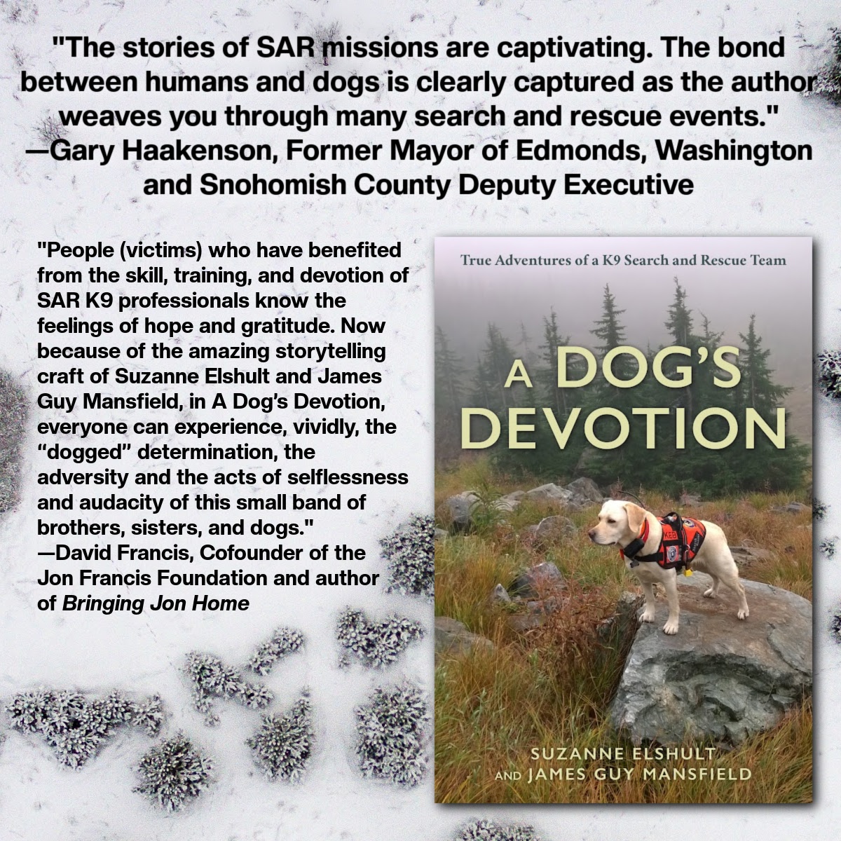 Lyons_Press's tweet photo. Available NOW from Lyons Press, A Dog's Devotion by Suzanne Elshult and James Guy Mansfield (and K9 Keb)!
1st Place Winner Pacific Northwest Writers Association Award — Memoir/Biography
022 SAR Dog Winner — American Humane Hero Dog Competition
#lyonspress #adogsdevotion #books https://t.co/6rJjZ2Lfd6