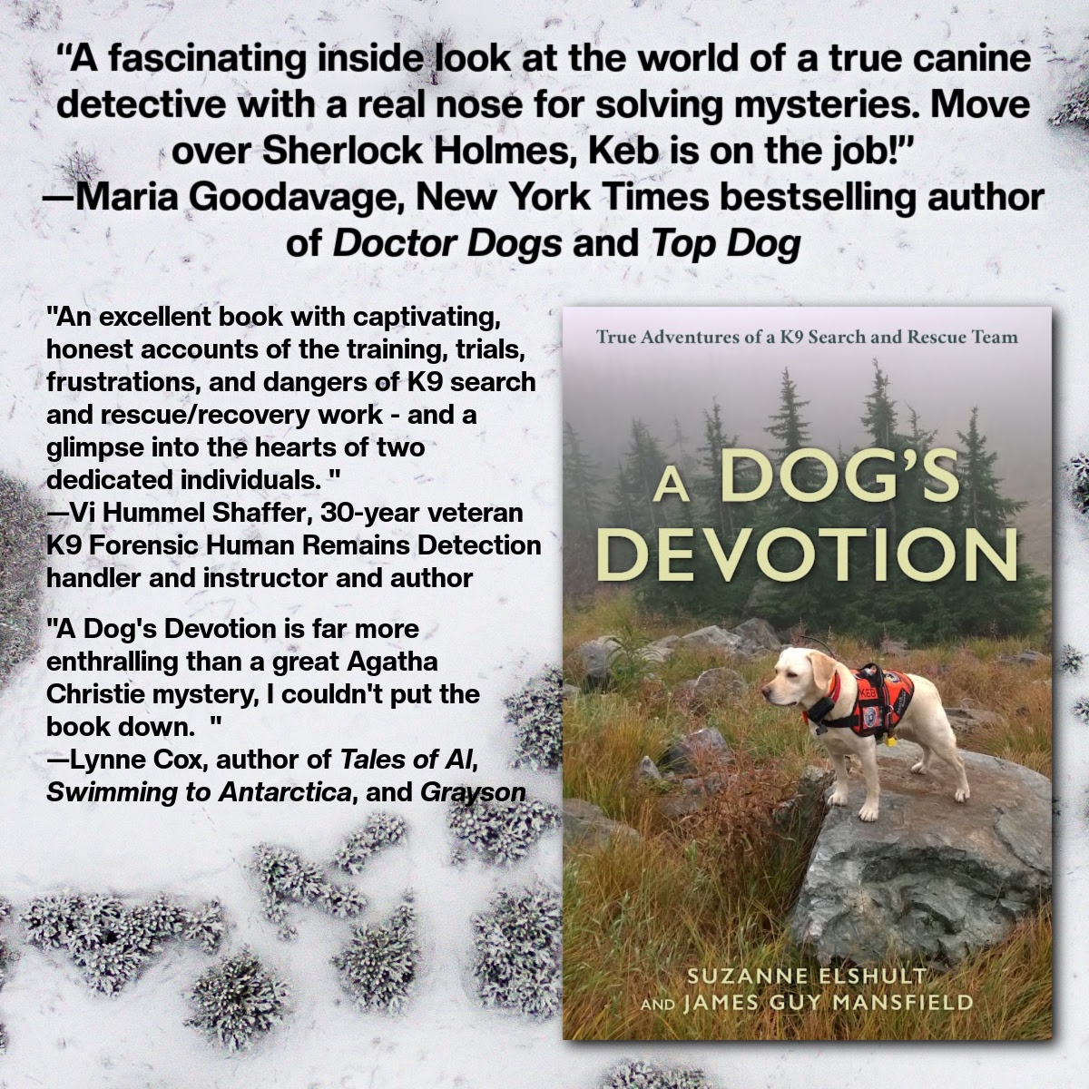 Lyons_Press's tweet photo. Available NOW from Lyons Press, A Dog's Devotion by Suzanne Elshult and James Guy Mansfield (and K9 Keb)!
1st Place Winner Pacific Northwest Writers Association Award — Memoir/Biography
022 SAR Dog Winner — American Humane Hero Dog Competition
#lyonspress #adogsdevotion #books https://t.co/6rJjZ2Lfd6