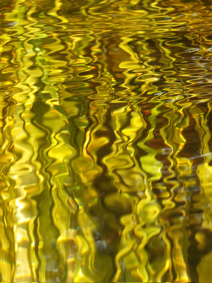 AHietamaa's tweet photo. @BraydenCreation Reflections. Teuron river, Finland. https://t.co/ZBnq8c0e6D