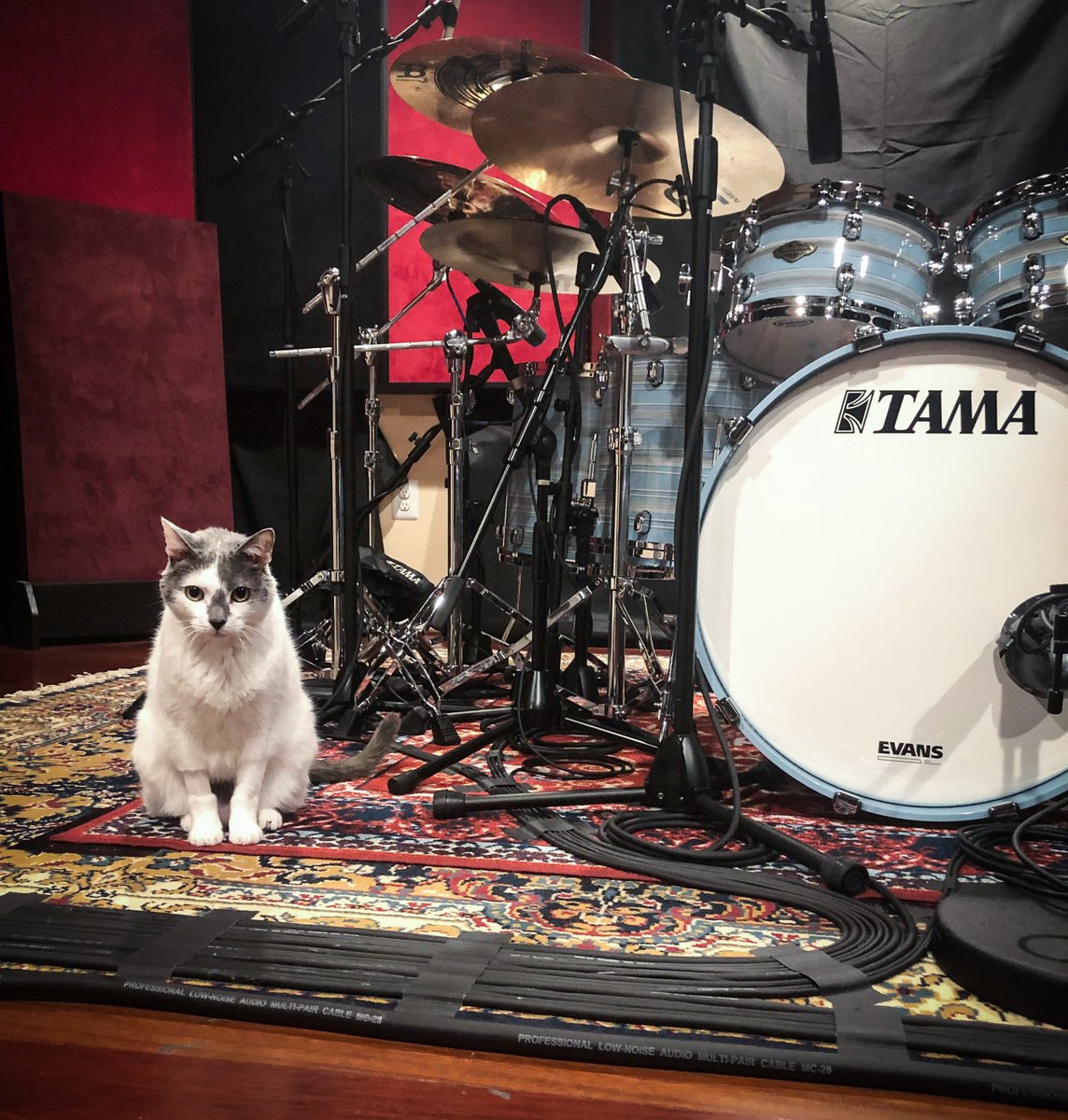 Appreciation post for Moo🐈 - our exceptionally talented behind the scenes audio engineer. Hear his tones on <a href="/AnupSastry/">Anup Sastry</a>'s new playthrough, for our second single 'Distract Me'. Out this week! #MeinlCymbals #TamaDrums #EvansDrumheads #Vratim