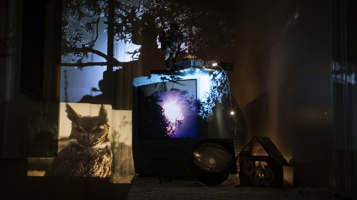 rock_hyrax's tweet photo. I'm honored to be back at Antimatter [media art] for the second year in a row with Light Leak! Showing in the eponymous program on closing night, Saturday, October 29. https://t.co/EZ9r10IfF6