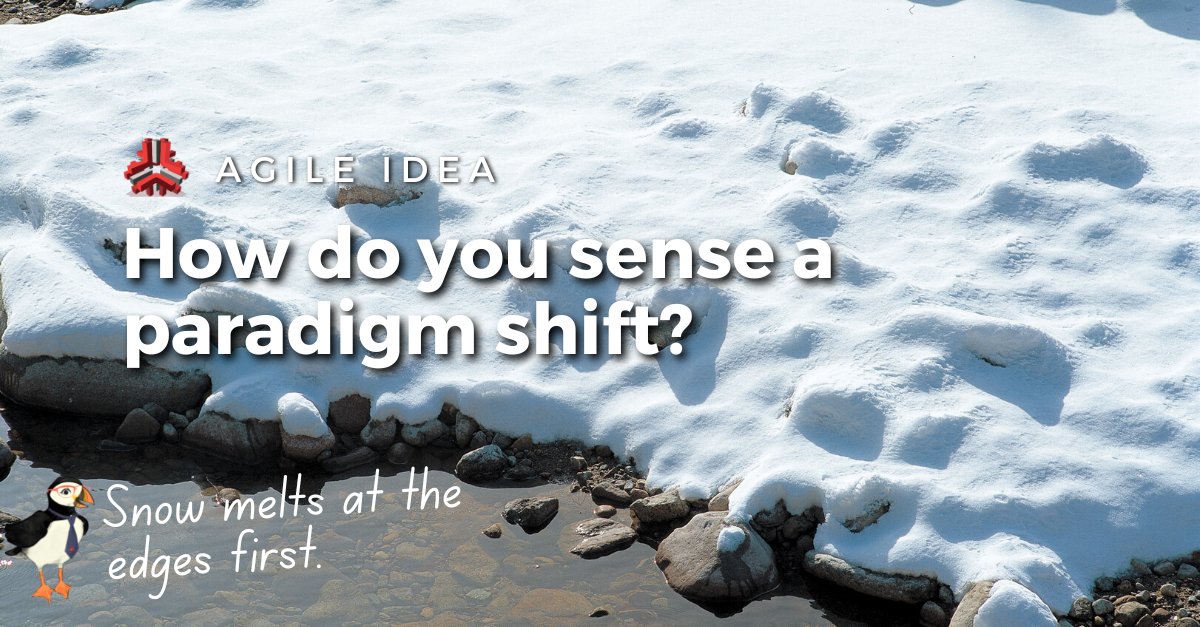 ILCanada tweet media