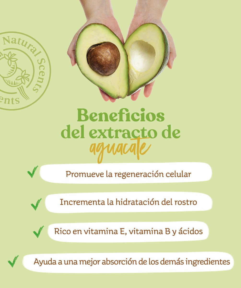 NaturalScentsMx's tweet photo. Tod@s sabemos que el aguacate 🥑 tiene muchos beneficios, ¿pero sabes cuáles son? Entérate ⬇️ https://t.co/l84QwPw03s
