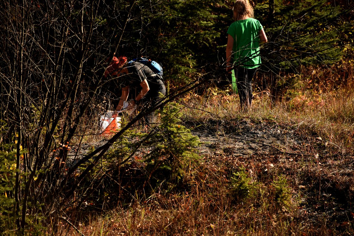 CC_Orienteering's tweet photo. Good turnout for yesterday's event at the Dairy Fields. What a gorgeous fall day for Orienteering in the Cariboo. https://t.co/ga0ub9JUmd