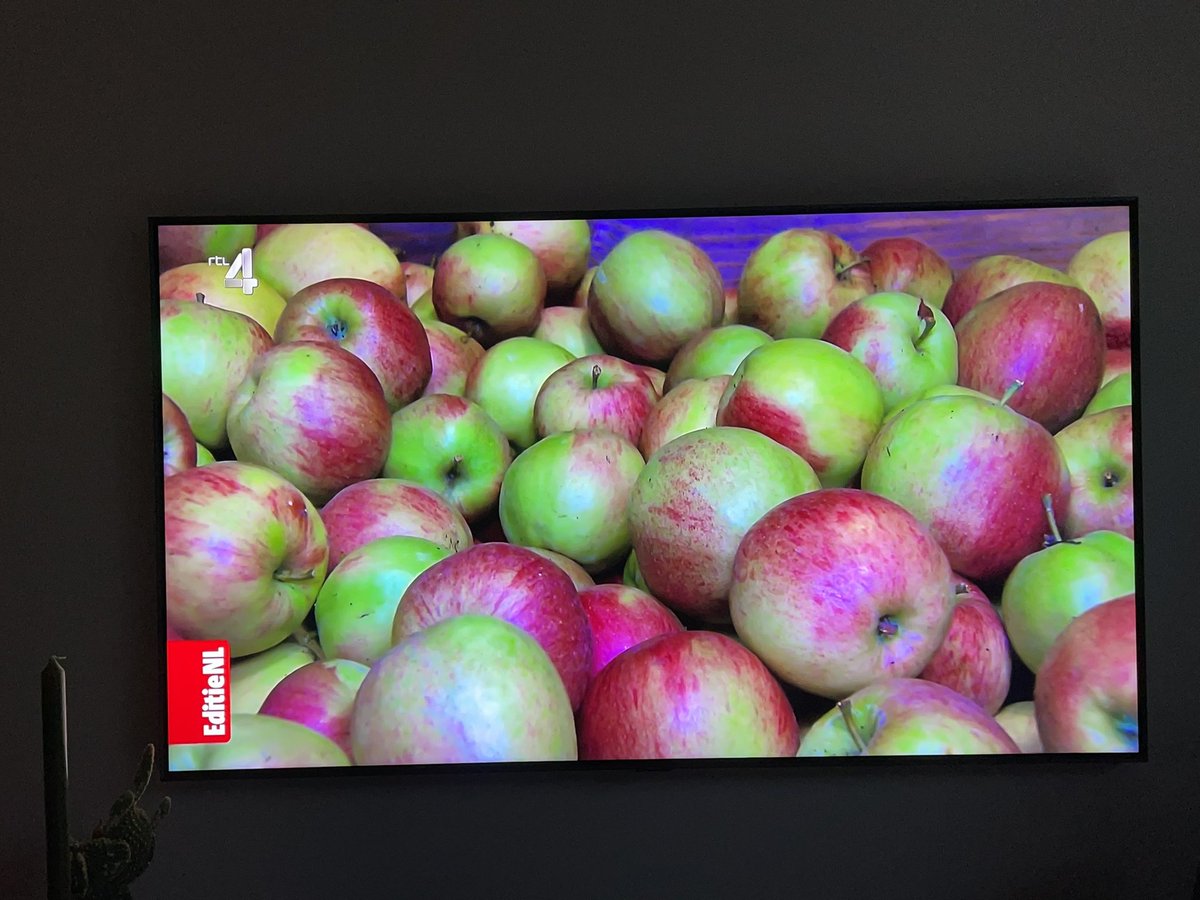 GFHuis's tweet photo. Maandag 17 oktober een item over “Eigen #appels eerst” bij @EditieNL met input van cijfers van @GFHuis. 70% van de appels die we jaarlijks in NL eten, komt uit NL. Top-3: #Elstar, #Jonagold en #Kanzi. https://t.co/L2lHJQH2WI https://t.co/z4vHtHSKPo