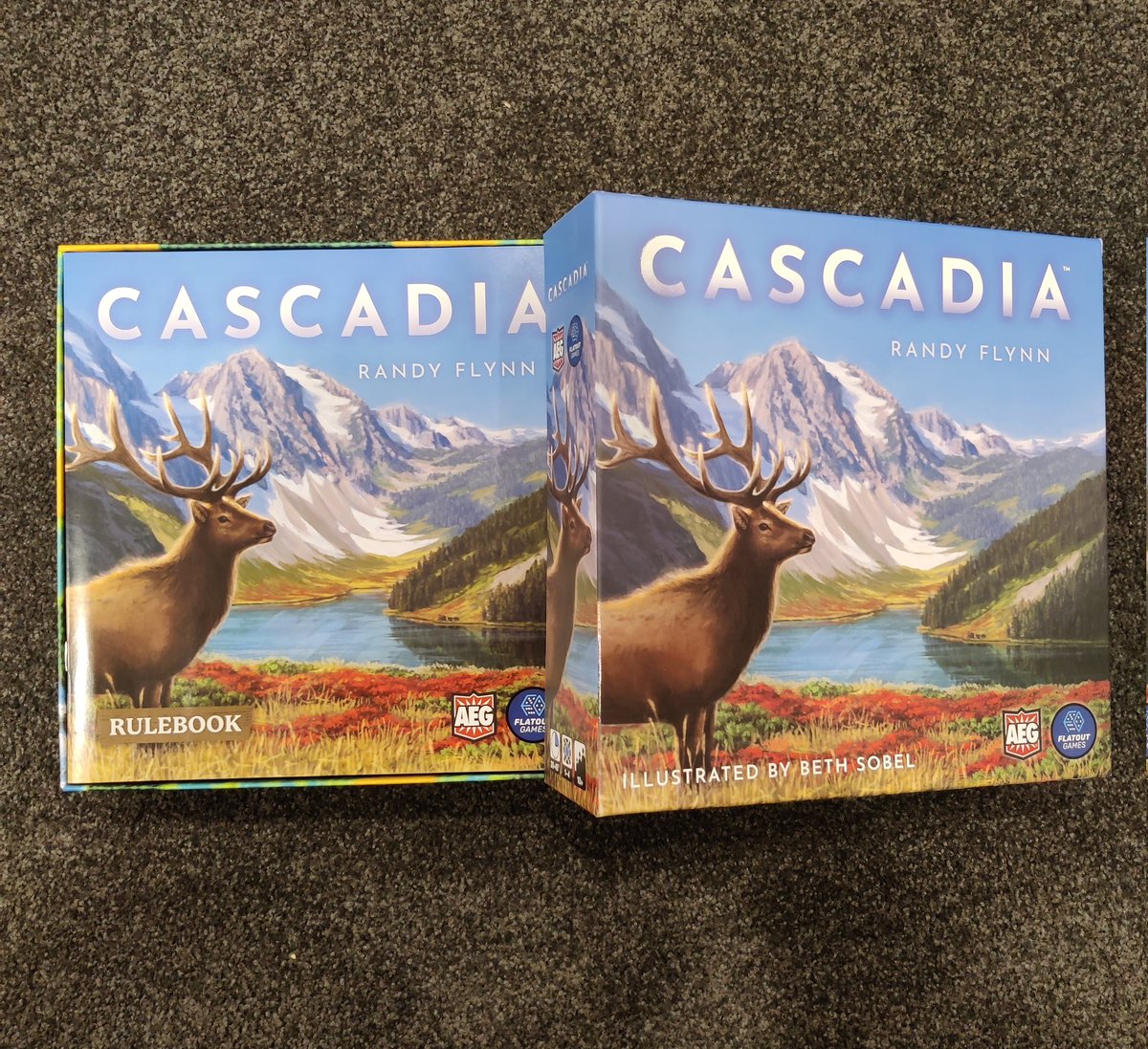 eric_sacchetto's tweet photo. @FlatoutGames 
Thanks! It arrived safe and sound and will be played ASAP.
#cascadia #boardgame https://t.co/B7edci3ww1