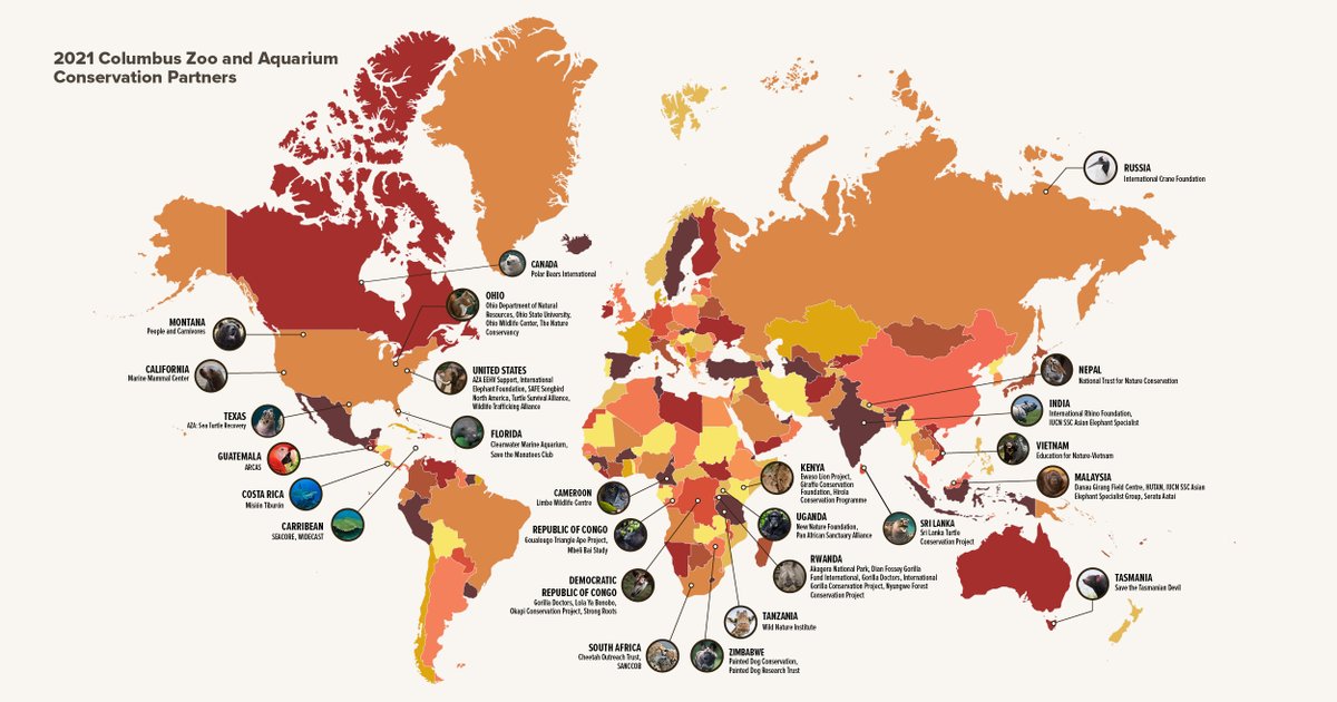 The Columbus Zoo wants to thank YOU for supporting our conservation mission. The global map shows the conservation projects we contributed funds and staff expertise because of your unwavering support. Read our 2021 Conservation and Sustainability Report: bit.ly/3fJJIvD.